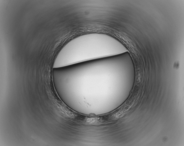 X0000096490461200801241214