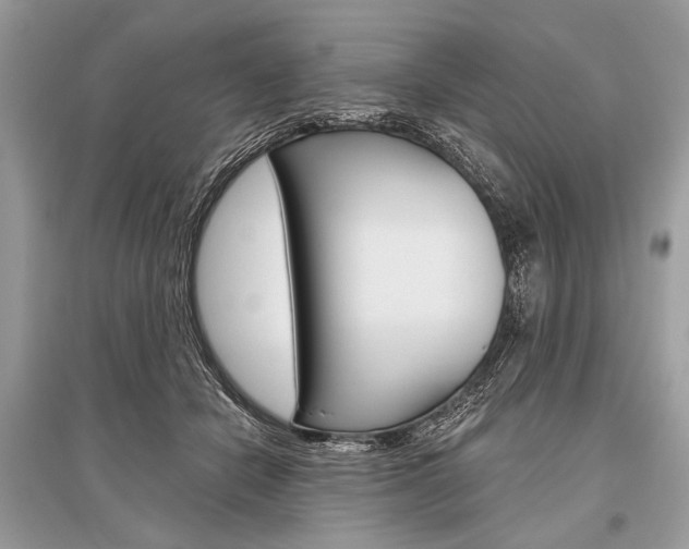 X0000096490462200801241214