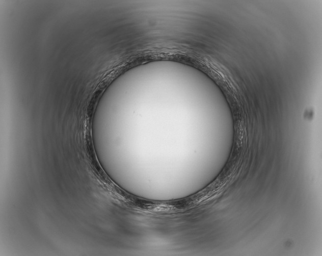 X0000096490463200801241214