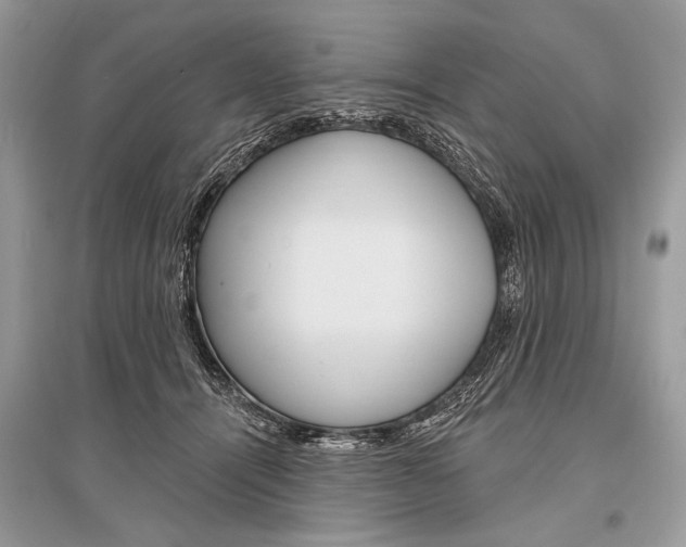 X0000096490464200801241214