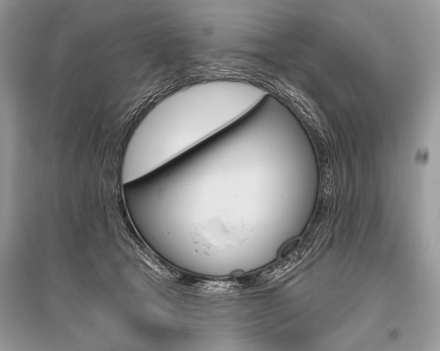 X0000096490465200801241214