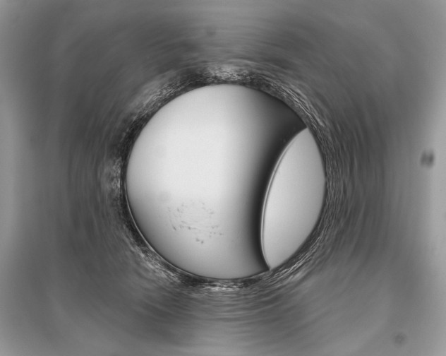 X0000096490466200801241214