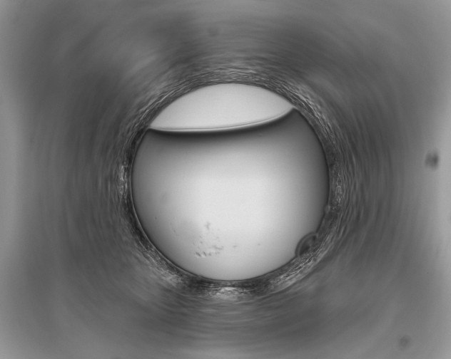 X0000096490467200801241214