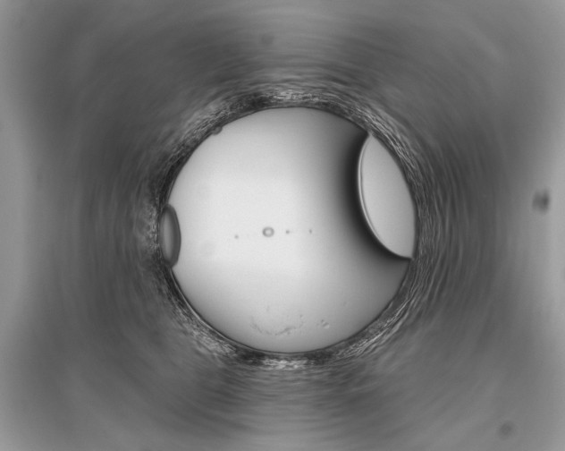 X0000096490469200801241214