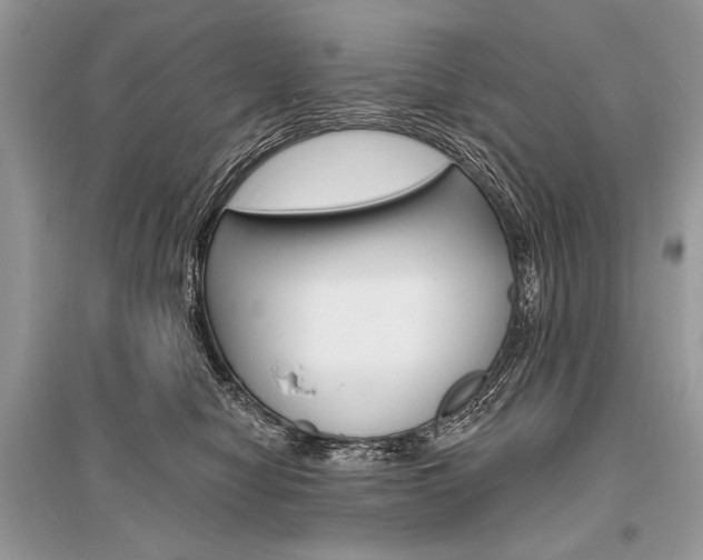 X0000096490470200801241214