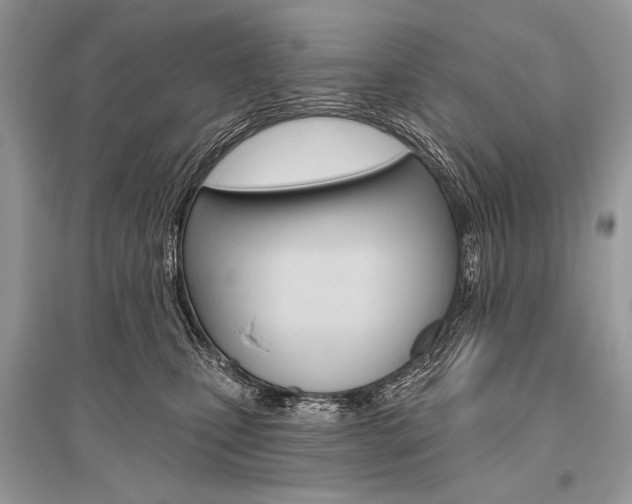 X0000096490471200801241214