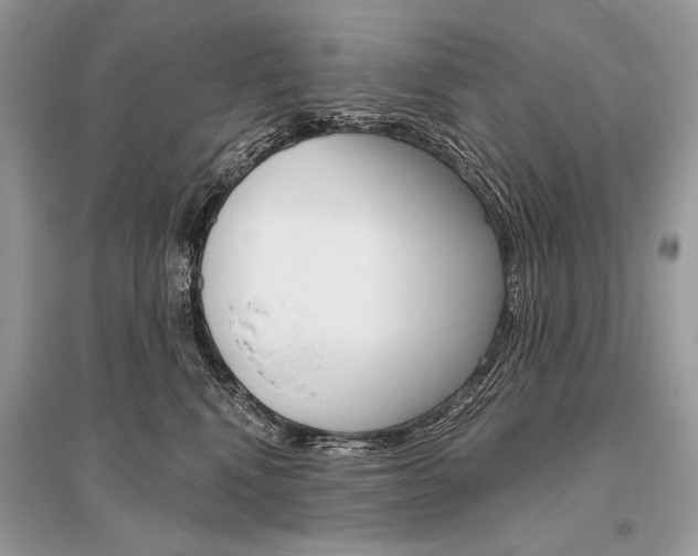 X0000096490472200801241214
