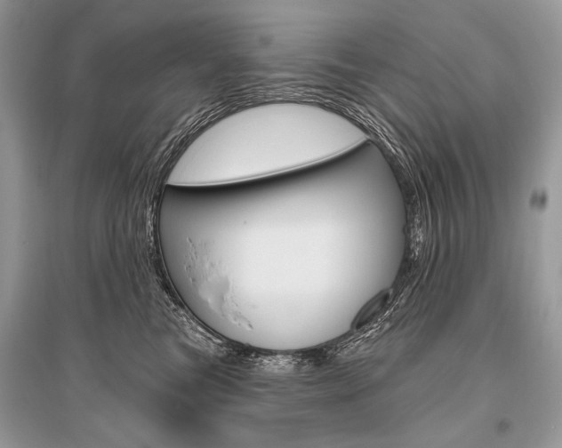 X0000096490473200801241214