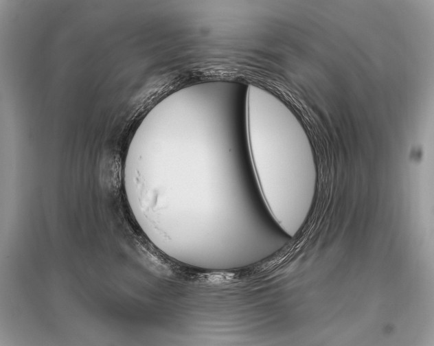 X0000096490474200801241214