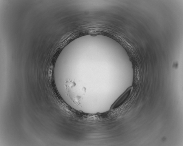 X0000096490475200801241214