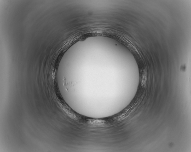 X0000096490476200801241214