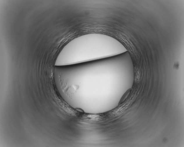 X0000096490478200801241214