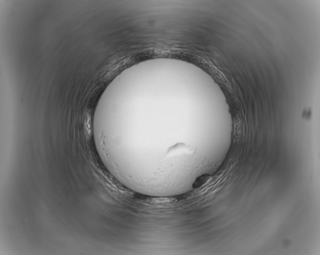 X0000096490479200801241214