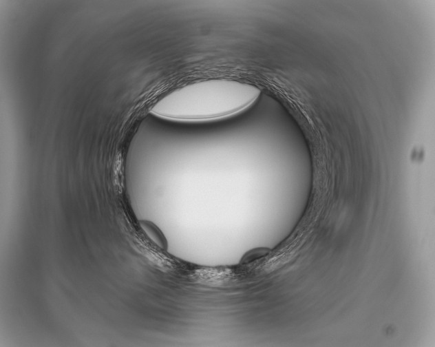 X0000096490480200801241214