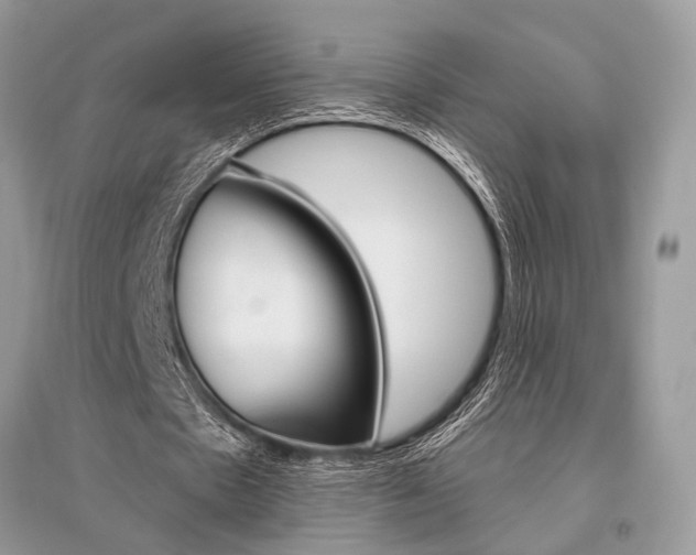 X0000096490481200801241214