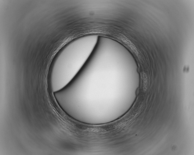 X0000096490482200801241214