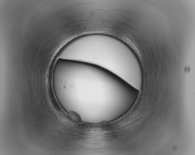 X0000096490483200801241214