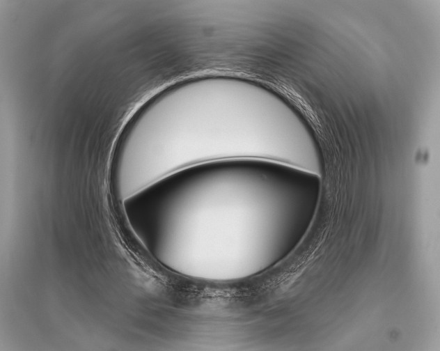 X0000096490484200801241214