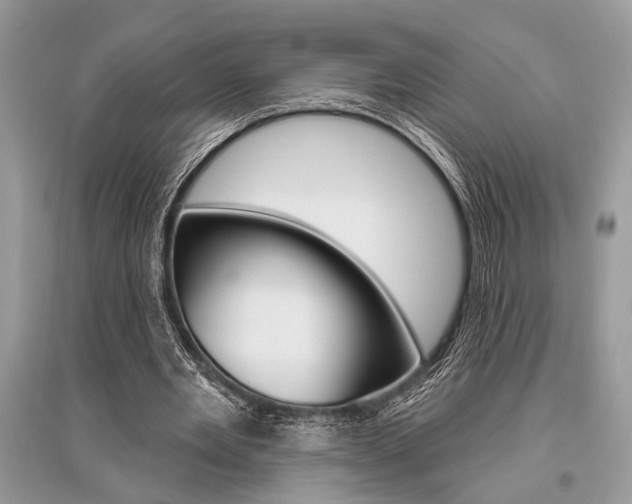 X0000096490485200801241214
