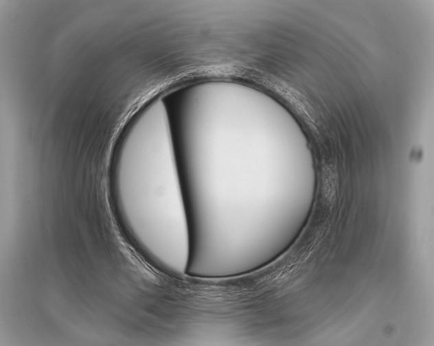 X0000096490486200801241214