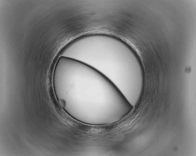 X0000096490487200801241214
