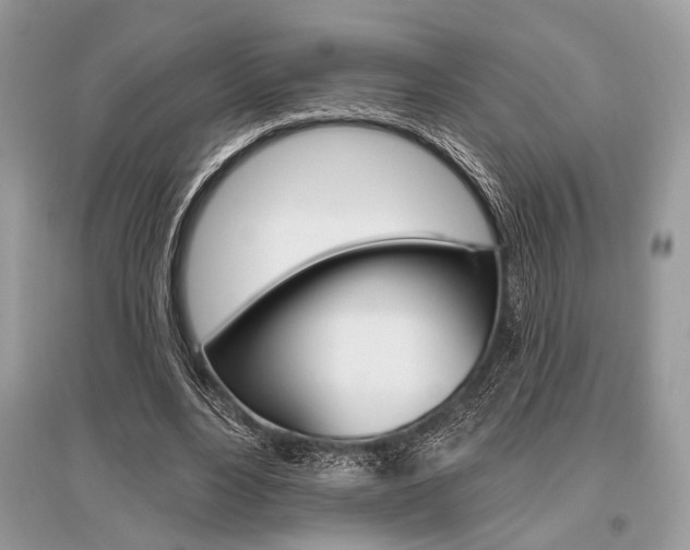 X0000096490488200801241214
