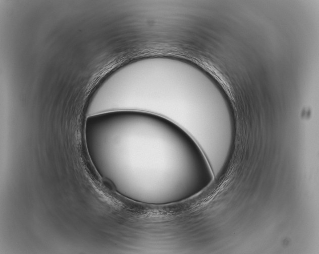 X0000096490489200801241214
