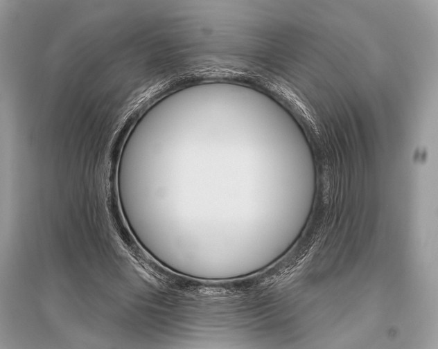 X0000096490490200801241213