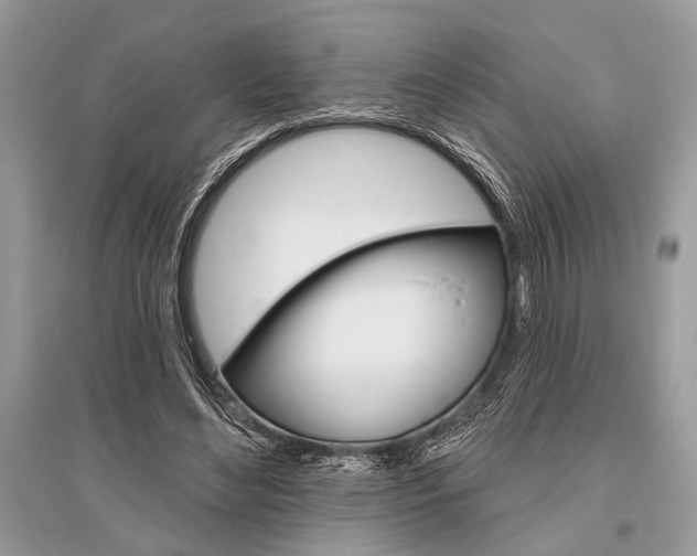 X0000096490492200801241213