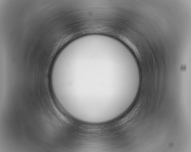 X0000096490493200801241213