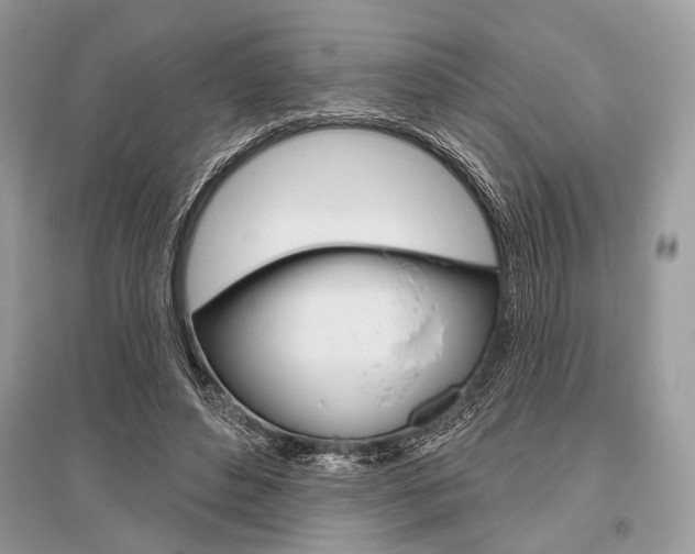 X0000096490496200801241213