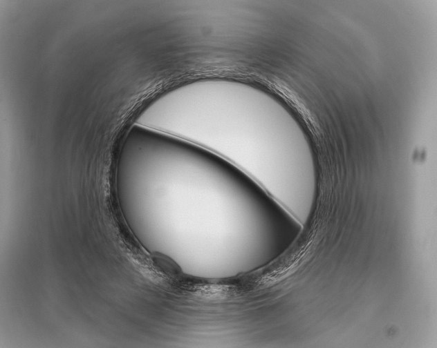 X0000096490497200801241213