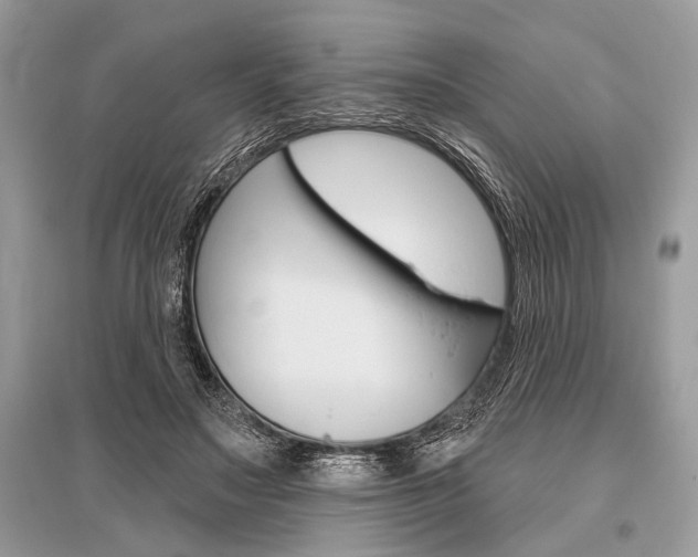 X0000096490499200801241213
