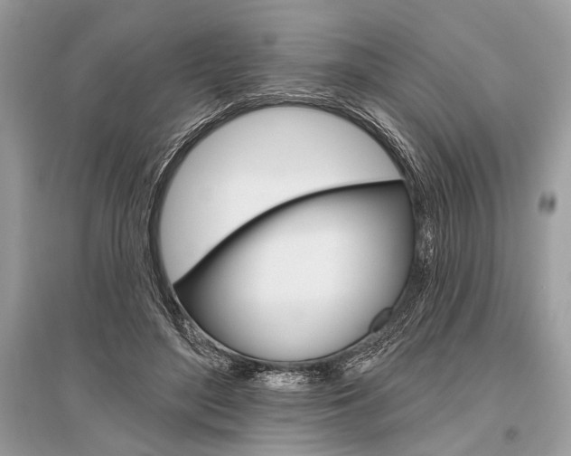 X0000096490500200801241213