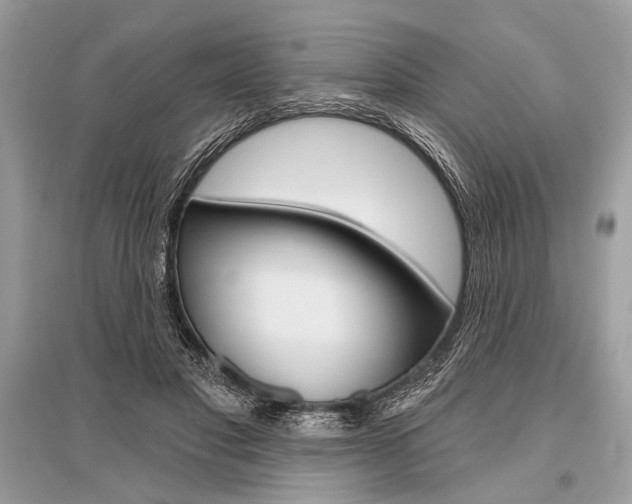 X0000096490501200801241213