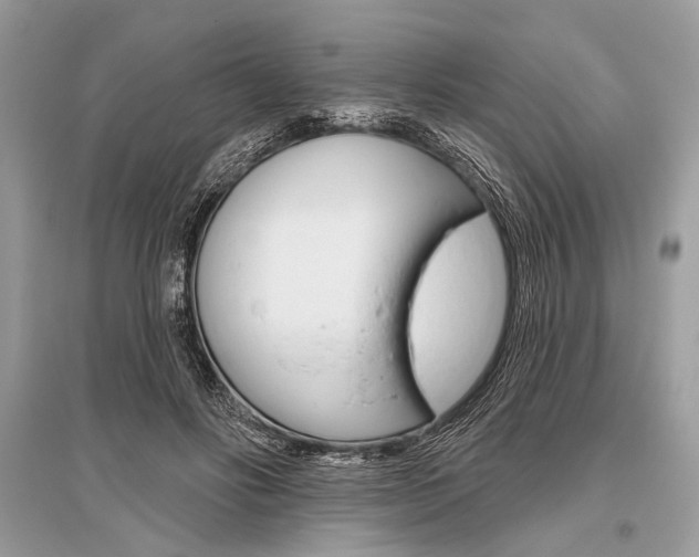 X0000096490502200801241213