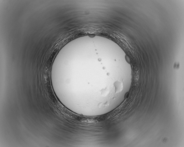 X0000096490503200801241213