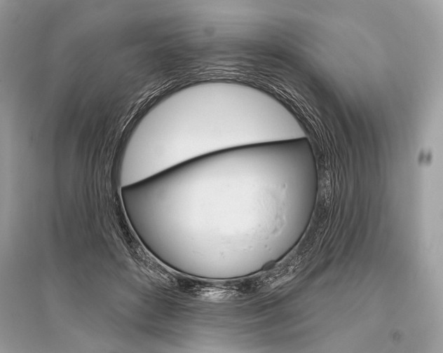 X0000096490504200801241213