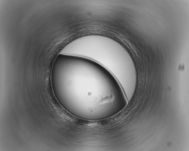 X0000096490505200801241213