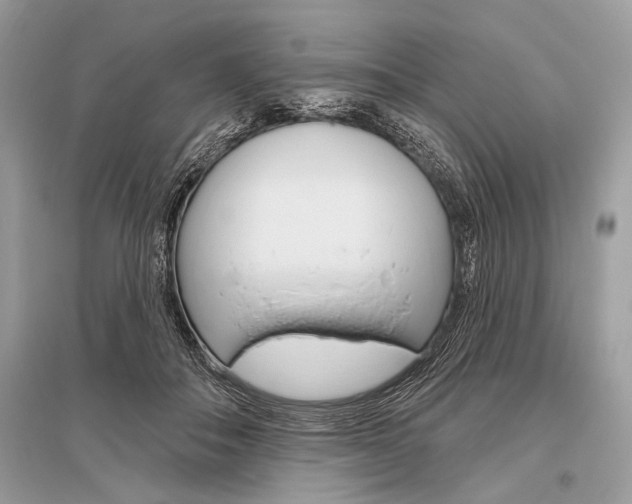 X0000096490506200801241213