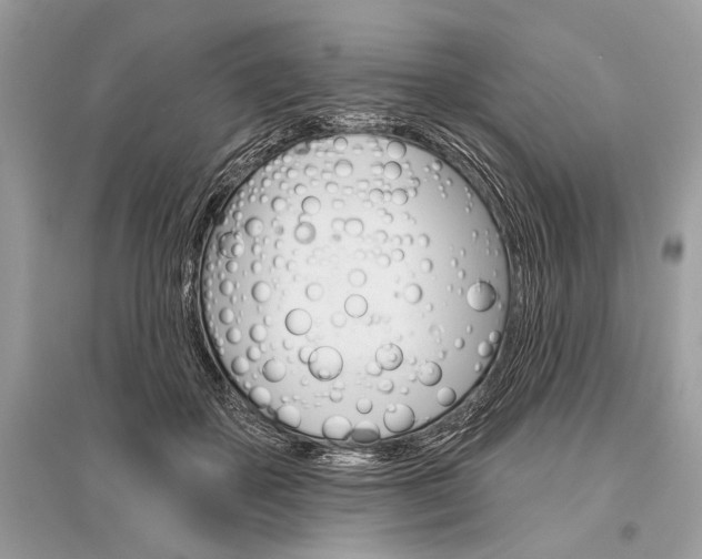 X0000096490507200801241213