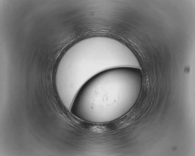 X0000096490508200801241213