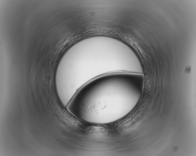 X0000096490509200801241213