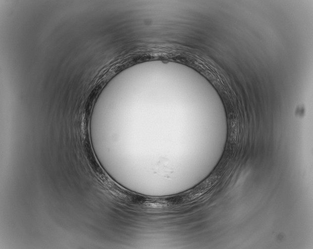 X0000096490510200801241213
