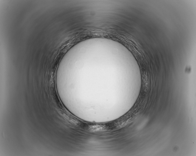X0000096490511200801241213