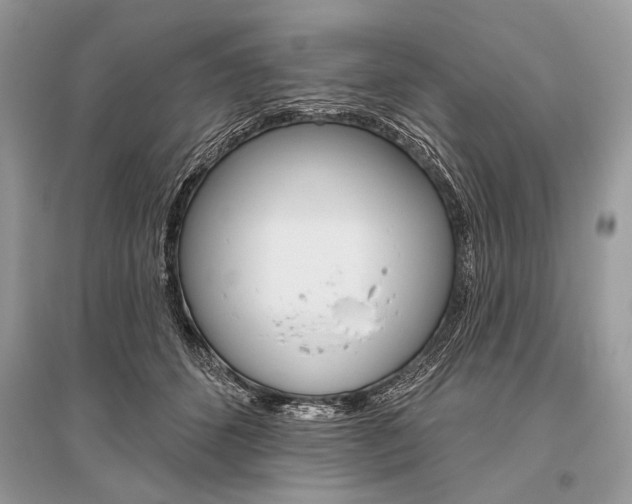 X0000096490512200801241213