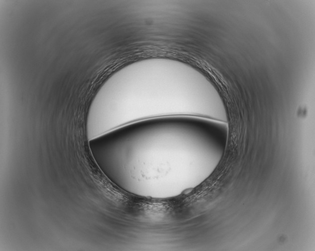 X0000096490513200801241213