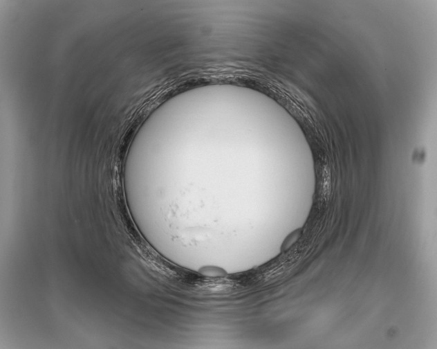 X0000096490514200801241213