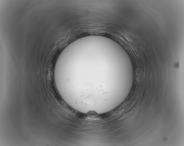 X0000096490515200801241213