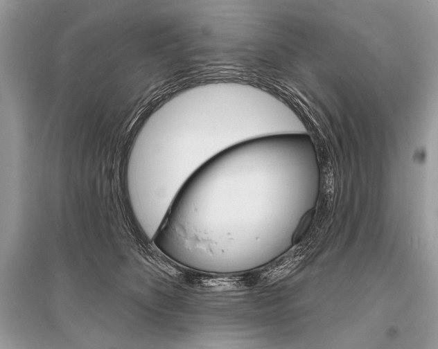 X0000096490516200801241213